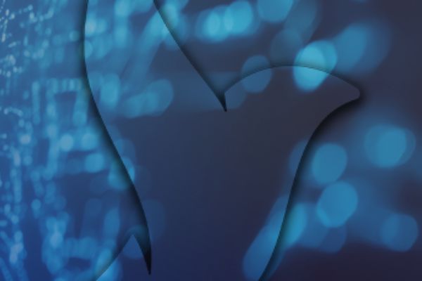 Dijital Dönüşümle Geleceğe Hazırlanmak Tam Gürok İşi